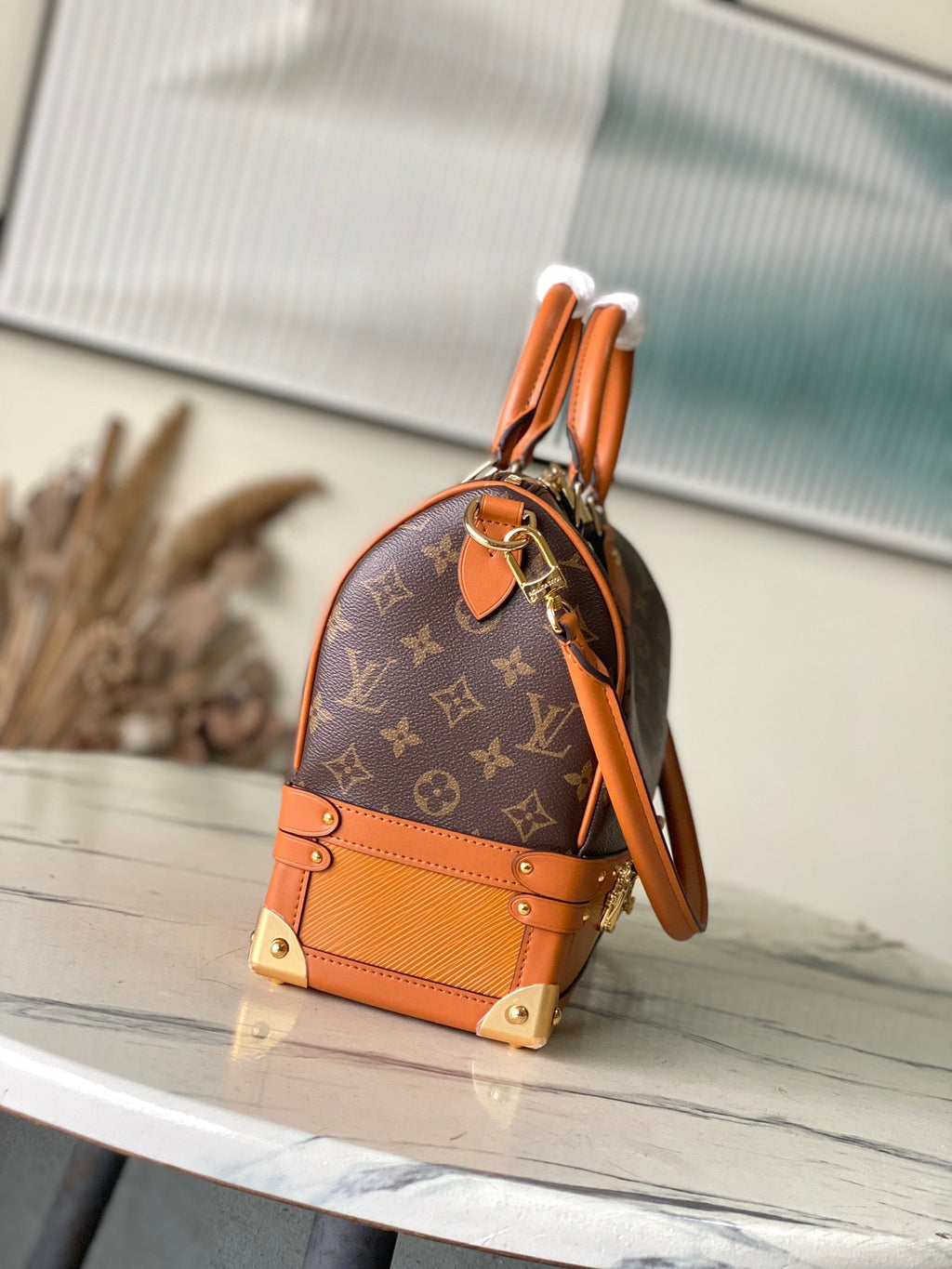 LV Trunk Speedy 30 Handbag