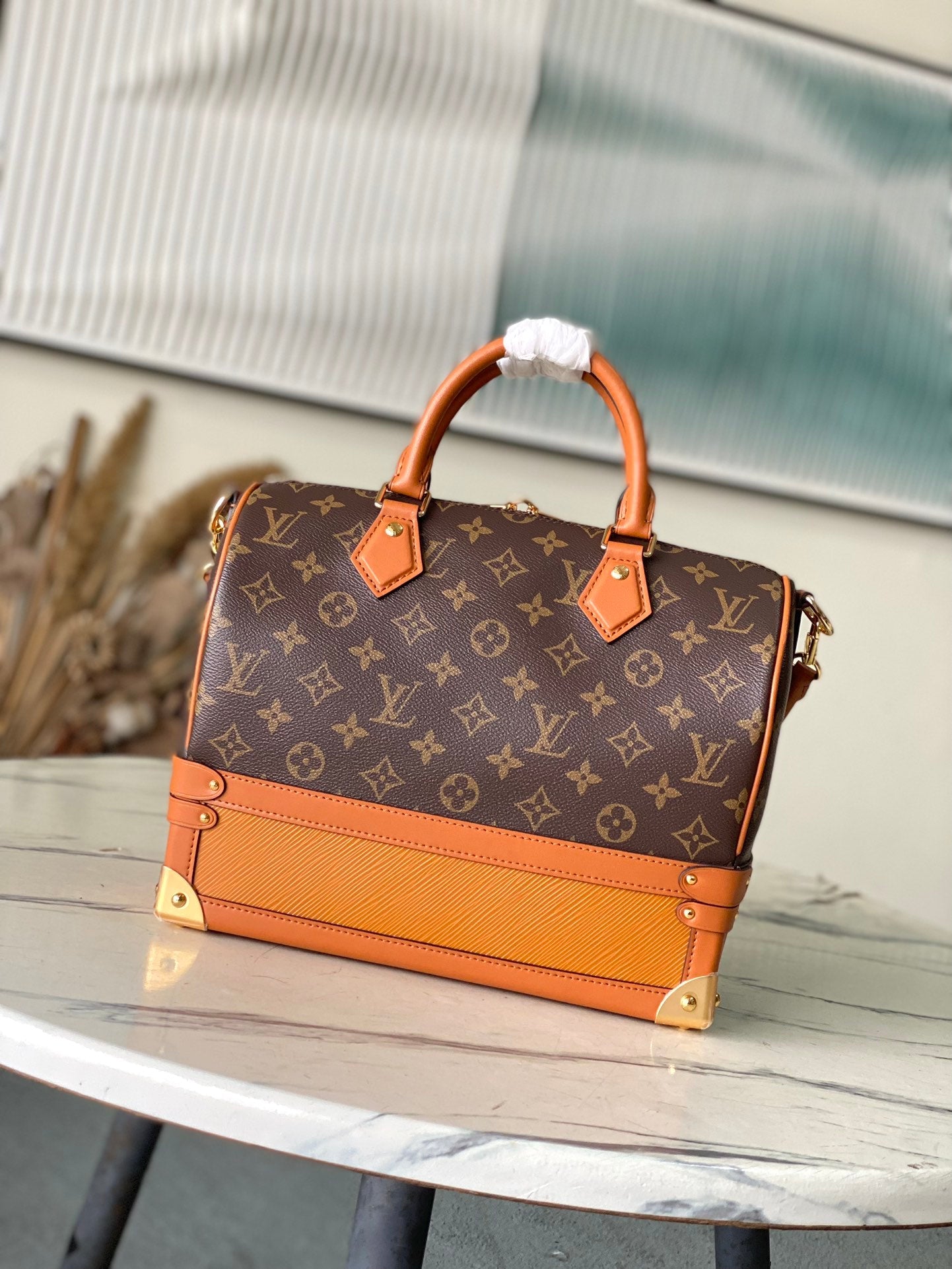 LV Trunk Speedy 30 Handbag