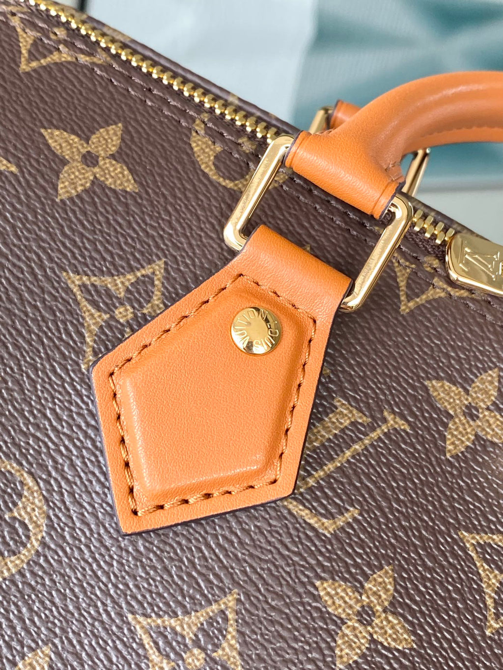 LV Trunk Speedy 30 Handbag