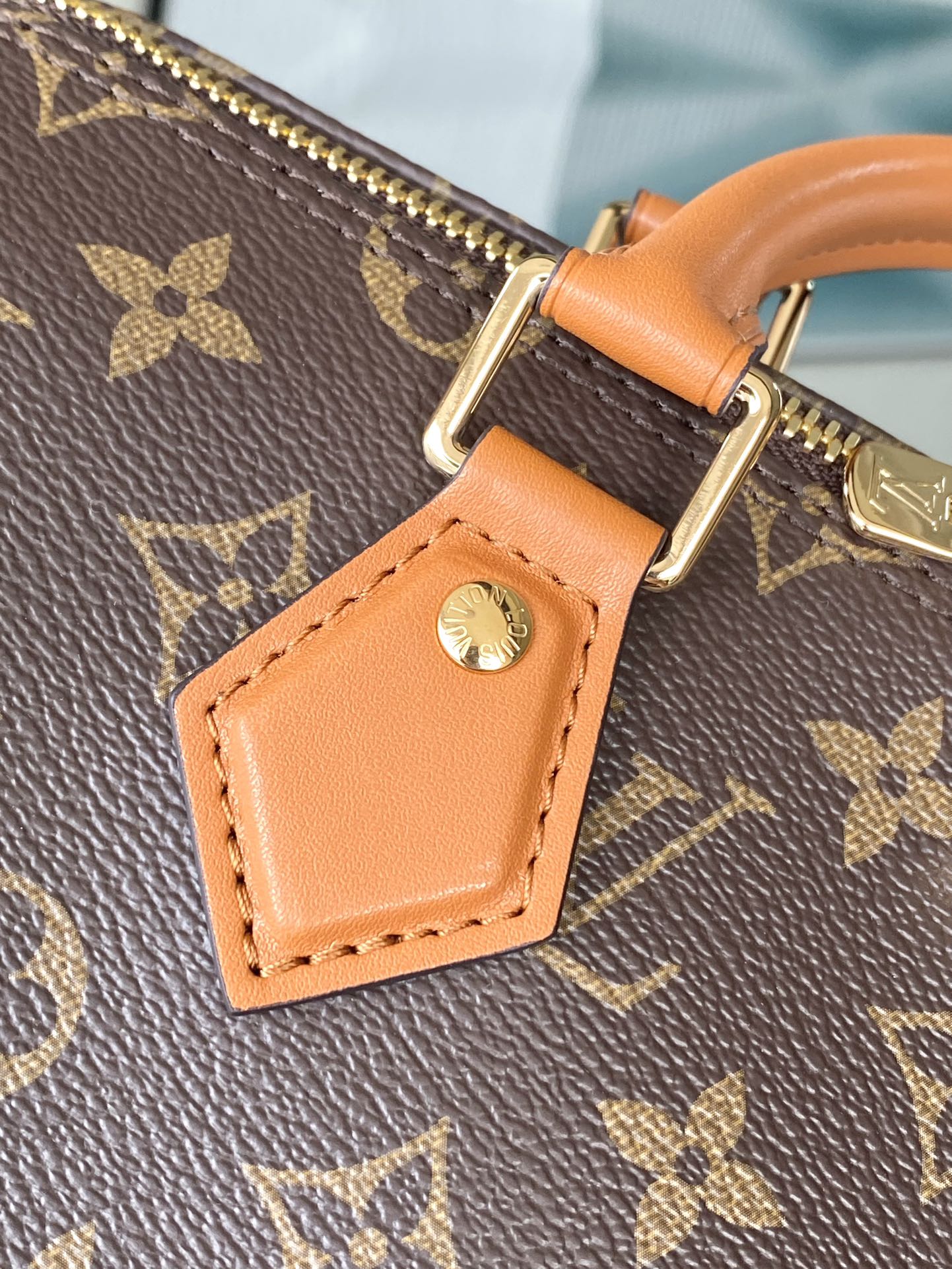 LV Trunk Speedy 30 Handbag