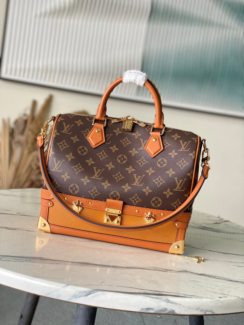 LV Trunk Speedy 30 Handbag